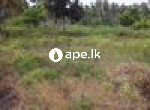 Land for sale in Chilaw